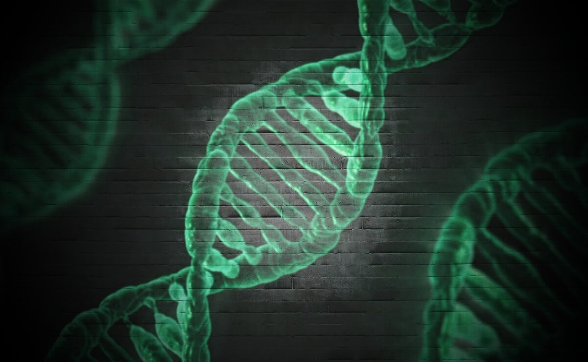 Study Finds Connection Between Genetics