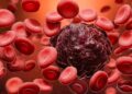 10 Books About Blood Cancer That You Should Read