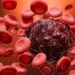 10 Books About Blood Cancer That You Should Read