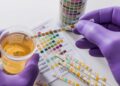 Drug Test Your Employees: What to Do If They Fail