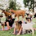 Simon McCoy Bursts Into Fit Of Laughter Over ‘Goat Yoga’