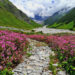 Man Gives An Uttarakhand Valley Its 1st Health Centre