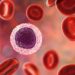 This 8-12 months-antique is combating a rare form of blood cancer