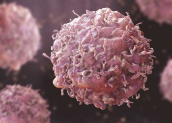 Dana-Farber medical institution to awareness on blood most cancers precursor situations